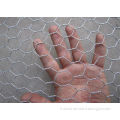 Triple Twist 16 Gauge Galvanised Chicken Wire Mesh For Tennis Court